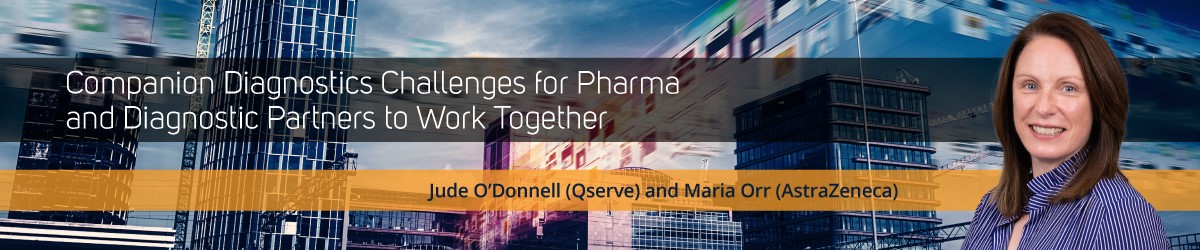 https://www.qservegroup.com/write/Afbeeldingen1/5th Qserve Conference agenda banners/jude-maria.jpg?preset=content
