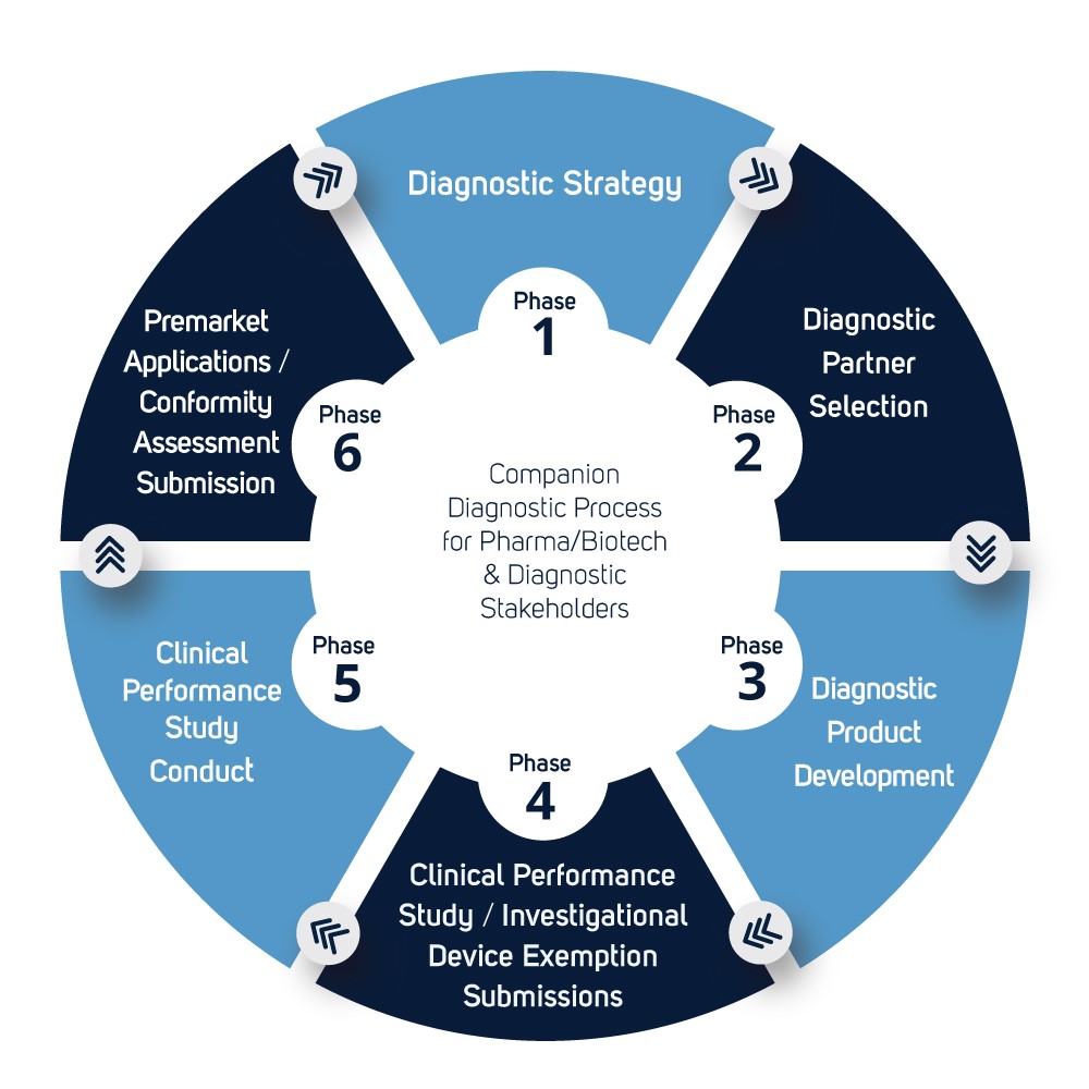 https://www.qservegroup.com/write/Afbeeldingen1/Design Pictures/CDx 6 Phases2024.jpg?preset=content